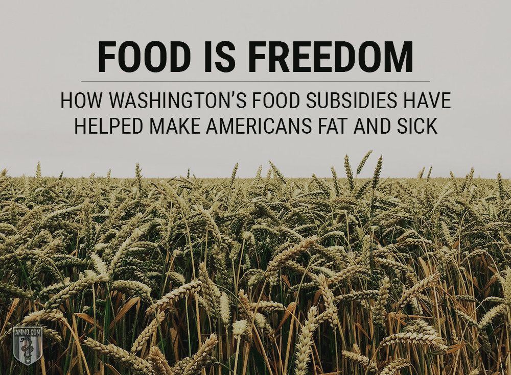 Farm Subsidies