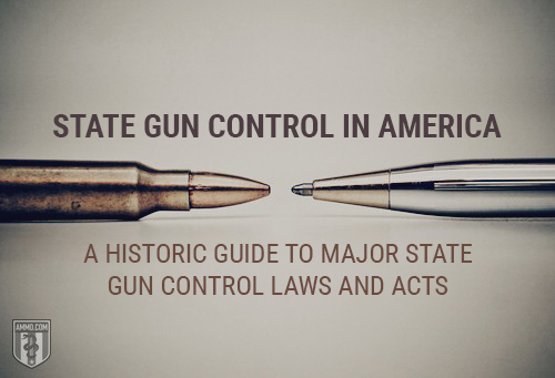 state gun control