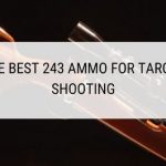 The Best 243 Ammo for Target Shooting