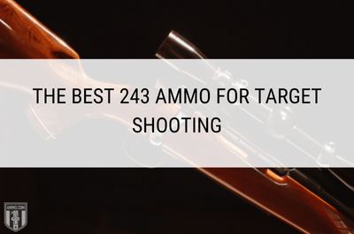 best-243-ammo-for-target-shooting