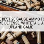 The Best 20 Gauge Ammo for Home Defense, Whitetail, and Upland Game