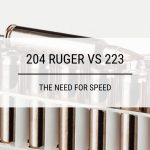 204 Ruger vs 223: The Need for Speed
